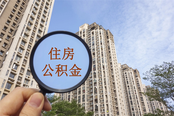 禹州离职可以取出公积金吗（离职可以取公积金嘛）